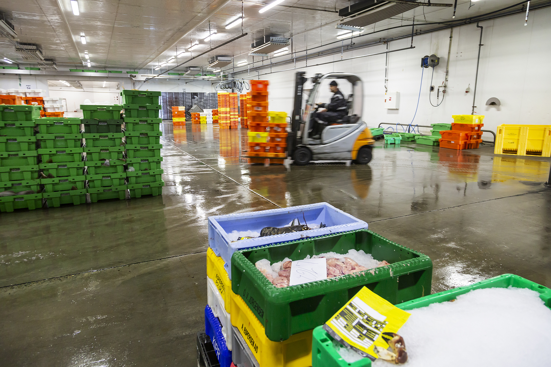 Fiskeauktion 15A4021 Web