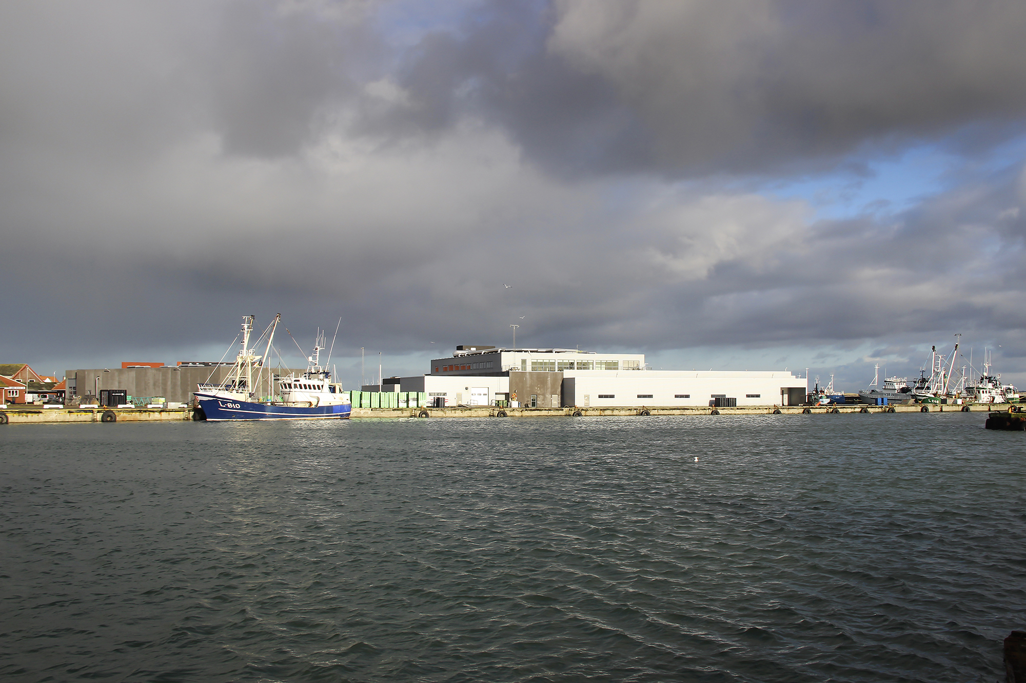 Fish Auction 5941 Web